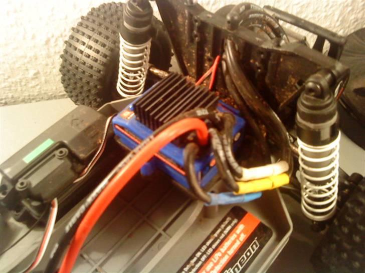 Buggy Bandit vxl billede 9
