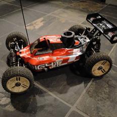 Buggy Team Losi 8ight 2.0