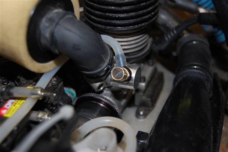 Buggy nanda billede 9