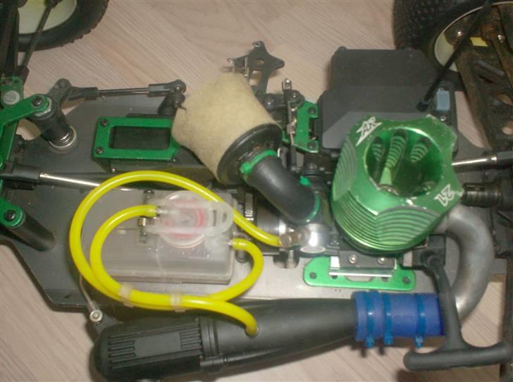 Bil Terrier  billede 9