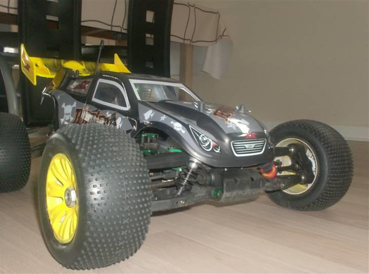 Bil Terrier  billede 11