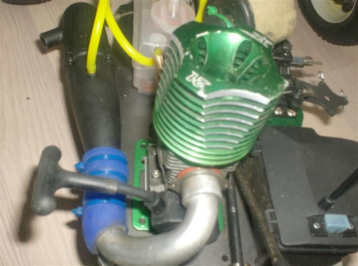 Bil Terrier  billede 13