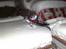 Off-Roader Kyosho Blizzard