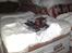 Off-Roader Kyosho Blizzard