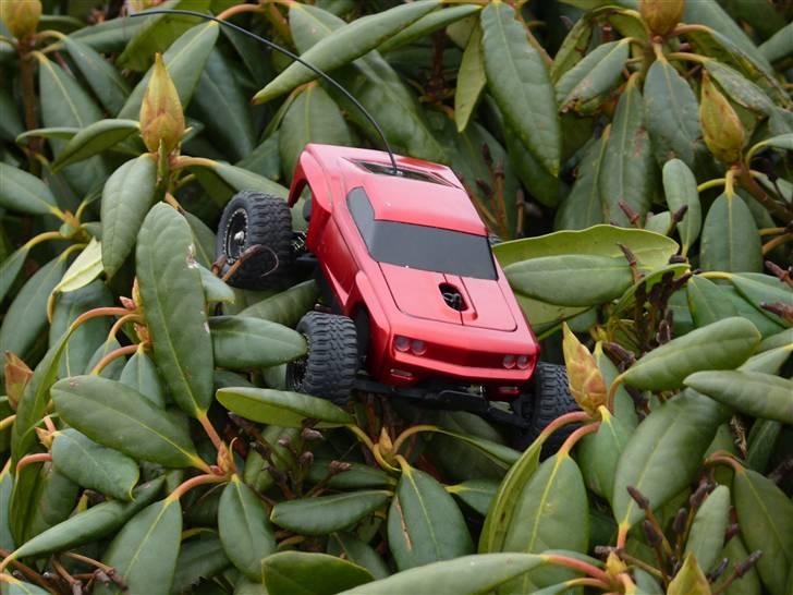 Off-Roader micro dt (Gertrud) billede 9