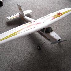 Fly Multiplex Minimag