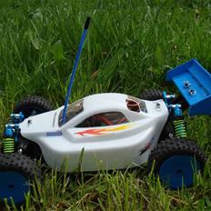 Buggy Anderson MB4 Competition