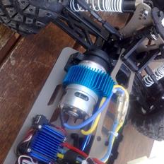 Buggy Stealth Truggi tilsalg