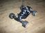 Bil Traxxas Jato 2.5 