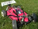 Buggy O'Donnell Z01B Team