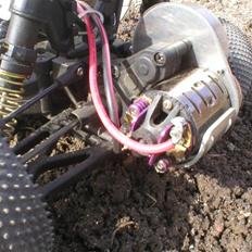 Buggy Academy Neo Griffin SOLGT