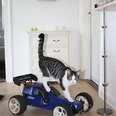 Bil Fg Marder Blue Man SOLGT!