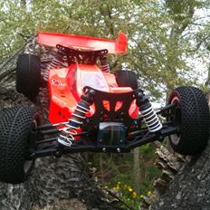 Buggy Yokomo MR-4BX 4WD