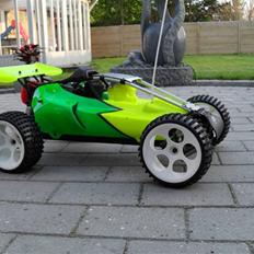 Buggy FG Baja