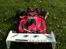 Buggy O'Donnell Z01B Team