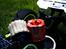 Truck Hong-nor X1CRT - GO 5 GX-R  