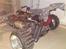 Buggy Fg Alu Beetle