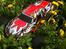 Off-Roader traxxas revo 2.5 Solgt 