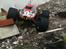 Off-Roader traxxas revo 2.5 Solgt 