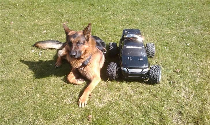 Truck FG stadium  truck kaptajn Morgan billede 10