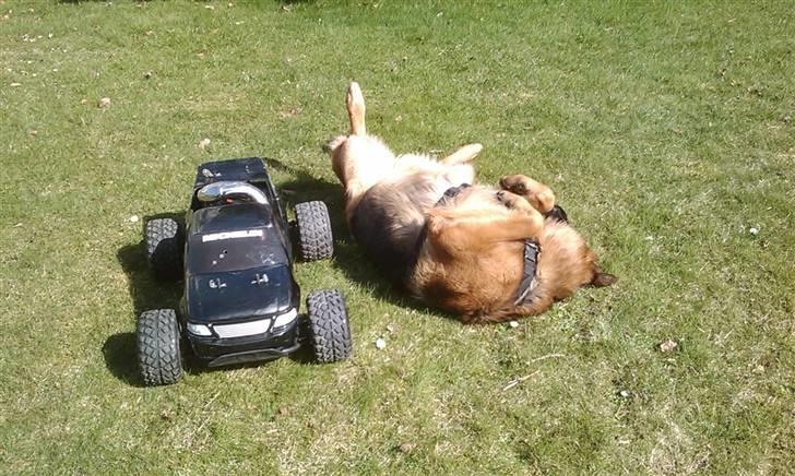 Truck FG stadium  truck kaptajn Morgan billede 11