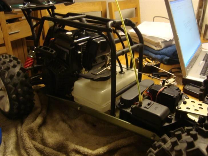 Buggy Crocodile (SOLGT)  billede 2