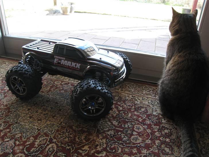 Off-Roader E-Maxx Brushless Edition billede 7