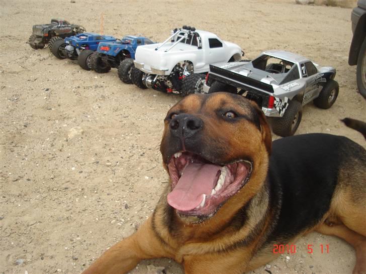 Bil hpi savage 5t billede 10