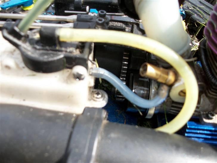 Buggy rex-x pro billede 10