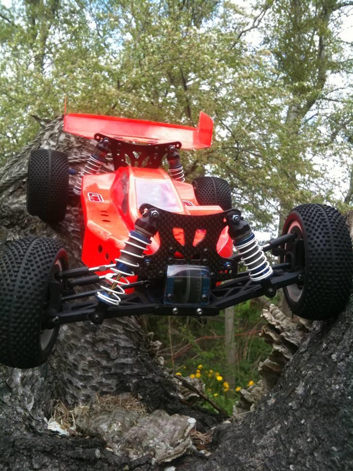 Buggy Yokomo MR-4BX 4WD billede 1