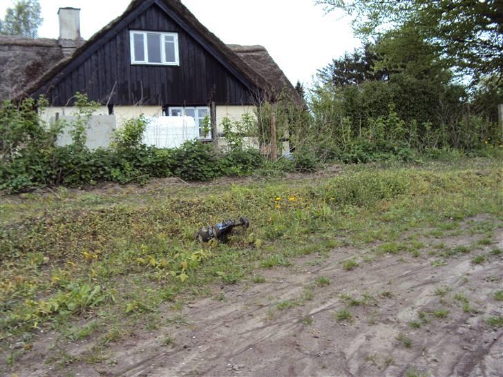 Buggy Associated b4 FT billede 15