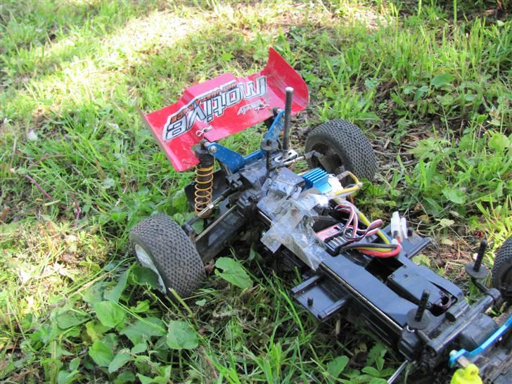 Buggy HBX Max Buggy XTi billede 8