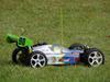Buggy Rex-x