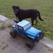 Buggy Himoto MegaP (byttet væk)