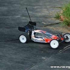 Buggy Associated B4 FT