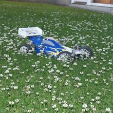 Buggy Hong Nor Ultra LX Pro Evo