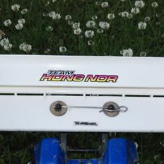 Buggy Hong Nor Ultra LX Pro Evo