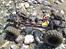 Off-Roader Axial SCX10