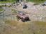 Off-Roader Axial SCX10