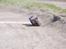 Off-Roader traxxas slayer pro 4wd