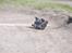 Off-Roader traxxas slayer pro 4wd