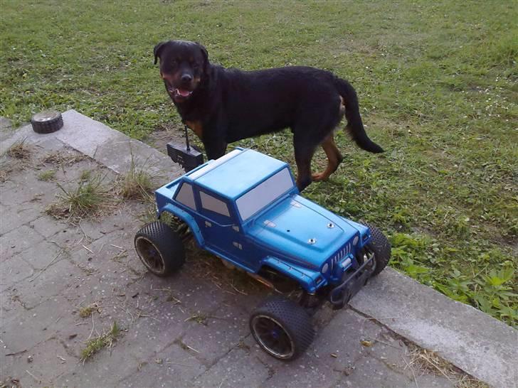 Buggy Himoto MegaP (byttet væk) billede 5