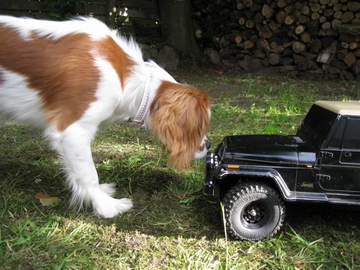 Off-Roader Jeep YJ Wrangler XC-01Mod billede 5