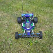 Buggy Team Associated b4