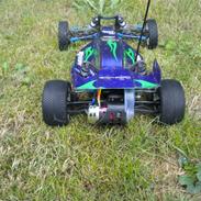 Buggy Team Associated b4