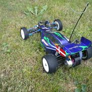 Buggy Team Associated b4