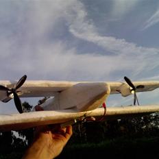 Fly DIY dobbeltvinget (død)