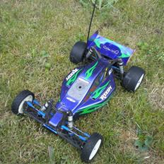 Buggy Team Associated b4