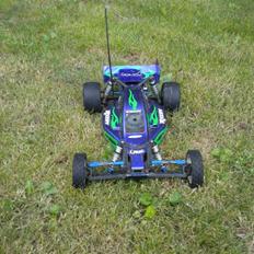 Buggy Team Associated b4