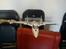Fly Fun Jet